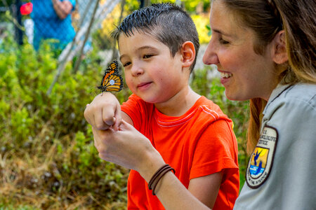 FWS employee and little boy look at tagged monarch