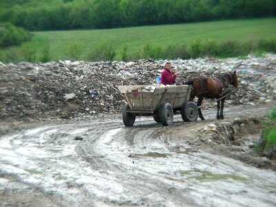 Garbage pulling wooden photo