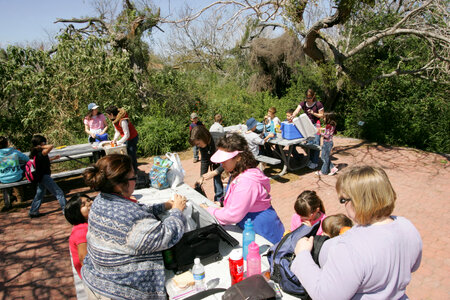 Visitors enjoying picnic photo