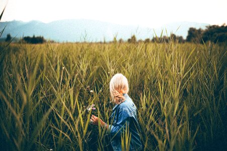 Woman Wheat Field Blonde photo