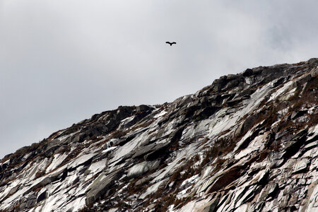 Rocky Mountain Cliff photo