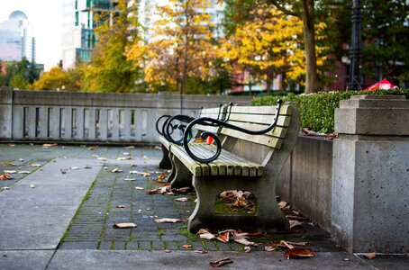 Benches in Harbour Green Park in Vancouver, British Columbia, Canada photo