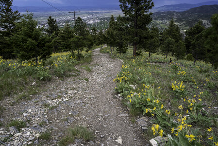 The powerline trail up Mount Helena photo