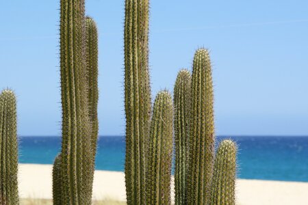 Sand dessert beach