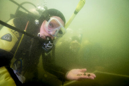 Ohio River Islands biologist ,Patricia Morrison, holds Purple Cat's