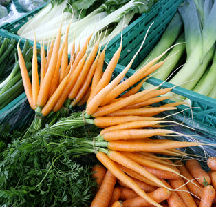 Carrots vegetables photo