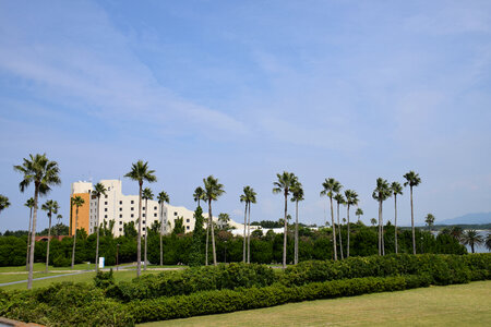 14 Uminonakamichi