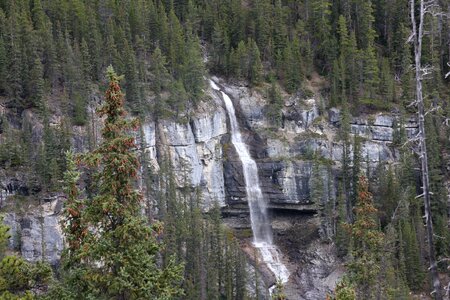 Bridal Veil Falls Provincial Park in Chilliwack, British Columbia photo
