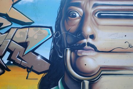 Salvador dali graffiti wall art colourful art