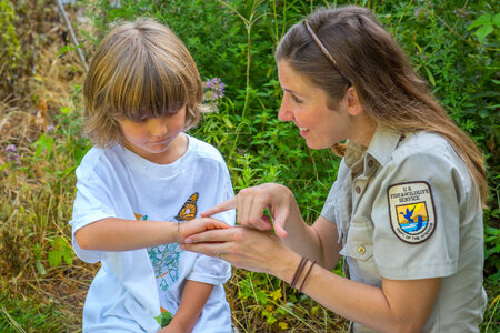FWS employee shows child tagged monarch
