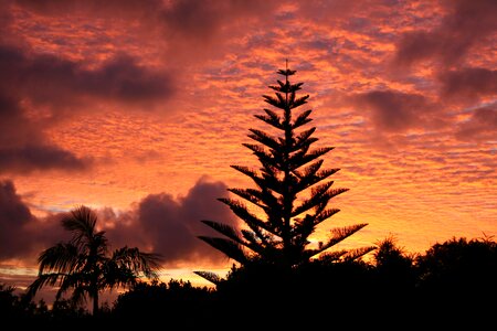 Sky morning silhouette photo