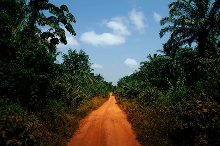 Village nature landscape photo