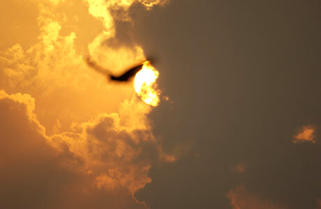 Ominous sky with faint bird silhouette