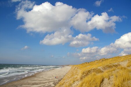 Beach dunes denmark photo