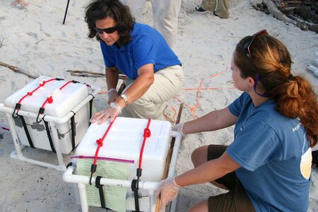 Background equipment scientists