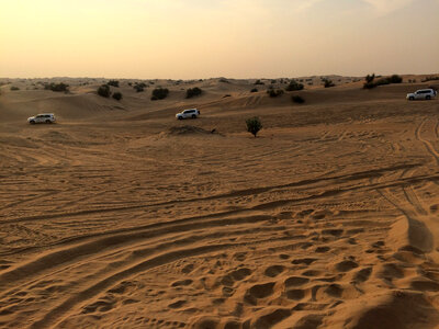 Off-road vehicles in deserts of Sharjah in the United Arab Emirates photo