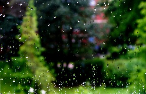 Drip window tree