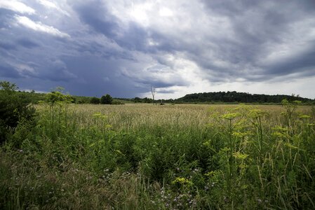 Stormy Clouds over the Grassland and Marsh at Goose Lake Wildlife Area