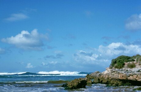 Australian coast habitat