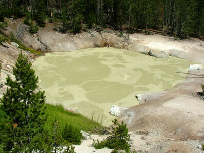 Sulphur Caldron, Mud Volcano area in Yellowstone National Park, Wyoming