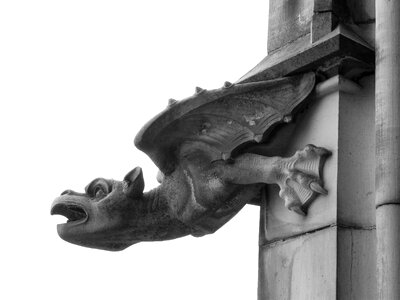 Ulm cathedral münster building photo