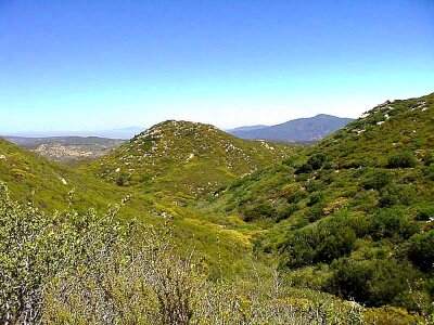 Greenery hill 