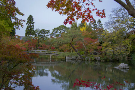 A buddhist temple in the forest in Nara, Japan photo