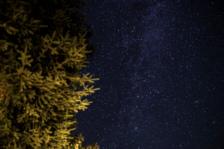 Stars and Galaxy at night in Algonquin Provincial Park, Ontario photo
