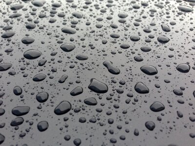 Drops rain water photo