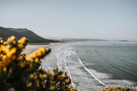 Beach coast coastline photo