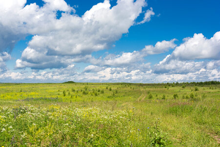 Landscape of the fields under the sky with clouds in Russia photo