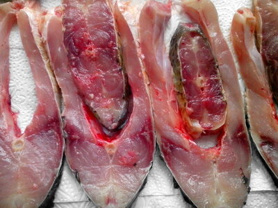 Egg White filet fish photo