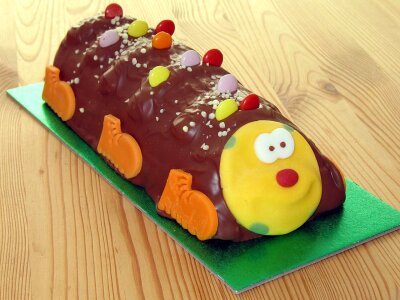 Chocolate caterpillar food