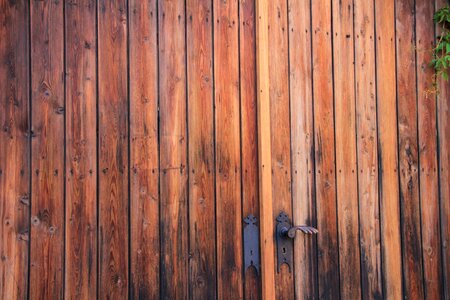 Wood wooden wall boards bridle photo