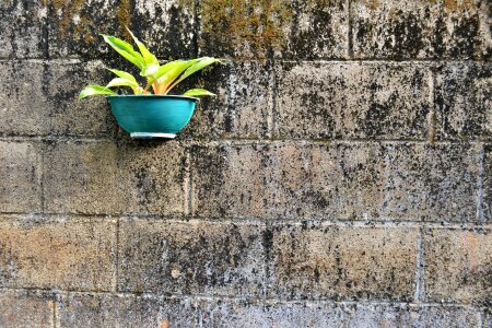 Hanging pot cement pot gardening photo