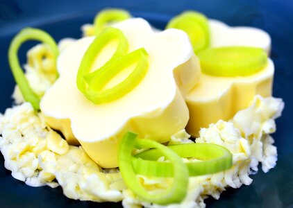 Beautiful Photo cheese dairy