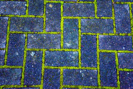 Brick bricks moss photo