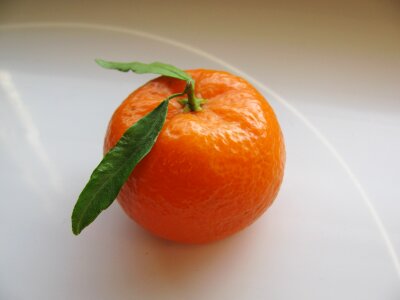 Fruit mandarin healthy