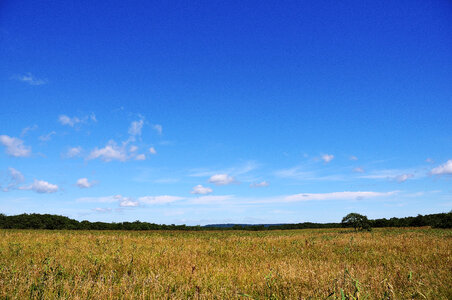 Hokkaido photo