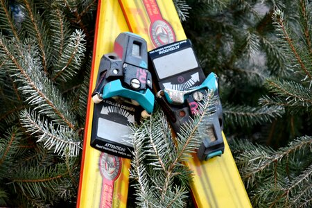 Branch conifers equipment