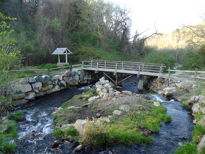 Bridge over stream