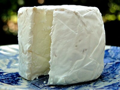 Cheese food milk