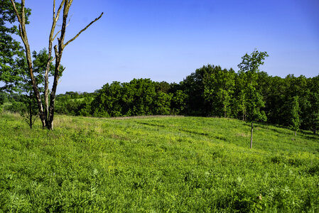 Hills, trees, and nature at Pleasant Valley State Natural Area