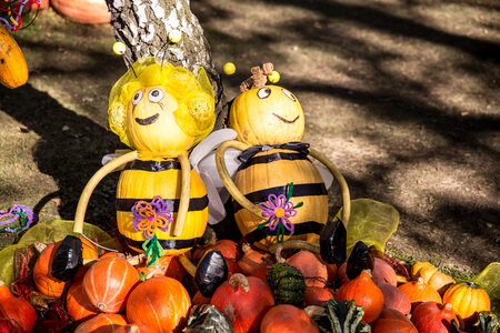 Maya the Bee and Willy Made of Pumpkins photo