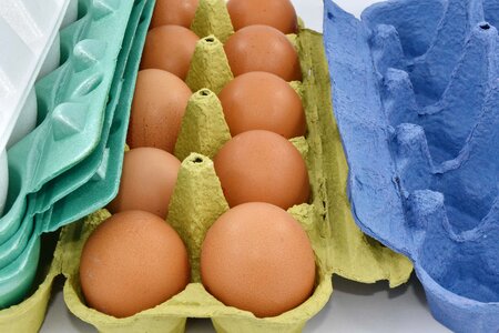Cardboard egg egg box photo