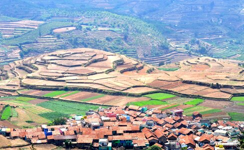 Terrace farm agriculture