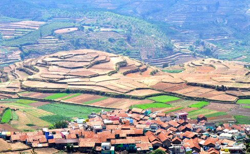 Terrace farm agriculture photo