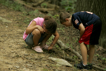 Nature investigation