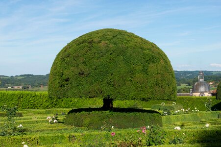 Landscape scenic summer