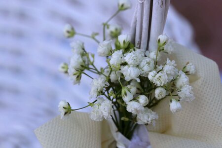 White Flower still life bouquet